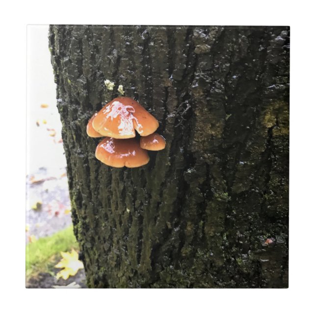 Mushrooms on a Tree, Oregon Tile (Front)