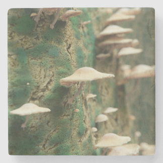 Mushrooms on a Tree Stone Coaster
