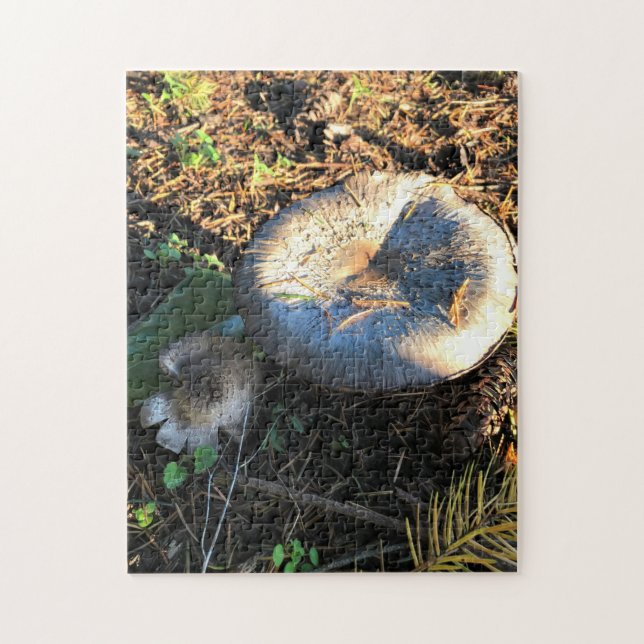 Mushrooms, Oregon Jigsaw Puzzle (Vertical)