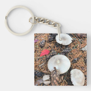 Mushrooms & Pine Cones Key Ring