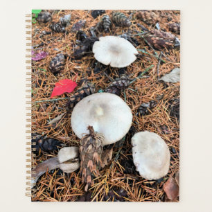 Mushrooms & Pine Cones Planner
