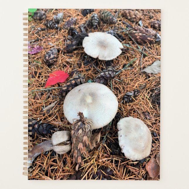 Mushrooms & Pine Cones Planner (Front)