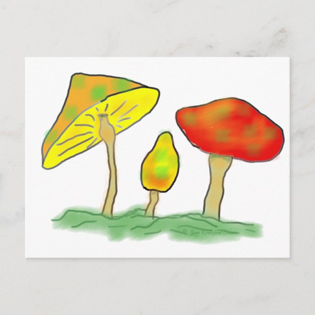 Mushrooms Postcard (Front)