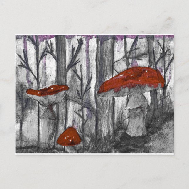 Mushrooms Postcard (Front)