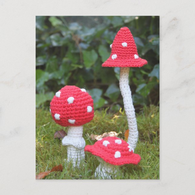 Mushrooms Postcard (Front)