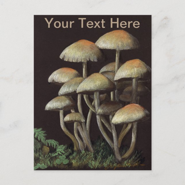 Mushrooms Postcard (Front)