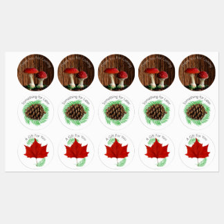 Mushrooms, Red leaf and Ferns