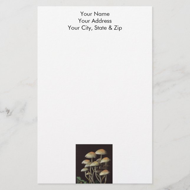 Mushrooms Stationery (Front)