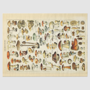 Mushrooms Vintage Decoupage Tissue Paper