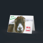 Mushy Romantic Goat Christmas Holiday Card<br><div class="desc">Cute and fun Christmas card featuring a romantic goat with love in his eyes! Personalise the messages and enjoy. Many thanks for looking! Photo ©Christine Greenspan</div>