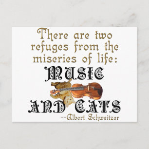 Music and Cats Postcard