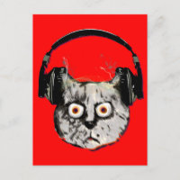music dj cat with headphone