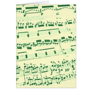 Music Major/Student/Teacher