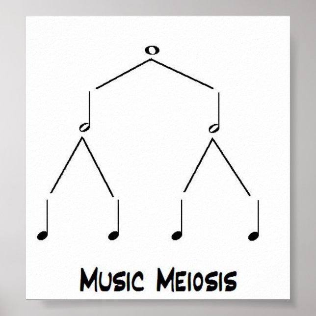 Music Meiosis Poster (Front)
