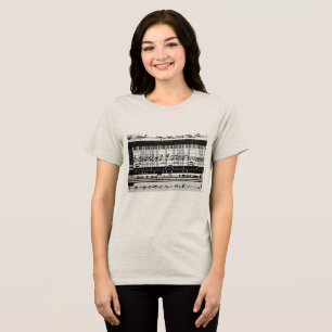 Music notes women's t-shirt Tri-Blend shirt