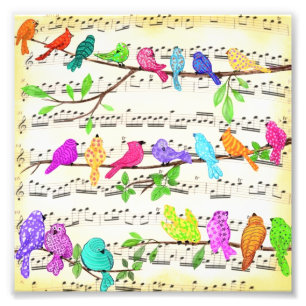 Musical Birds Poster