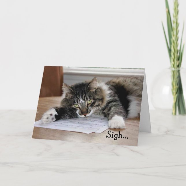 Musical Cat Birthday Song Birthday Card (Front)