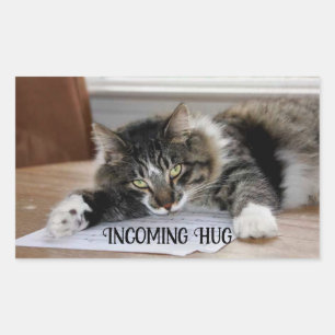 Musical Cat Incoming Hug Stickers