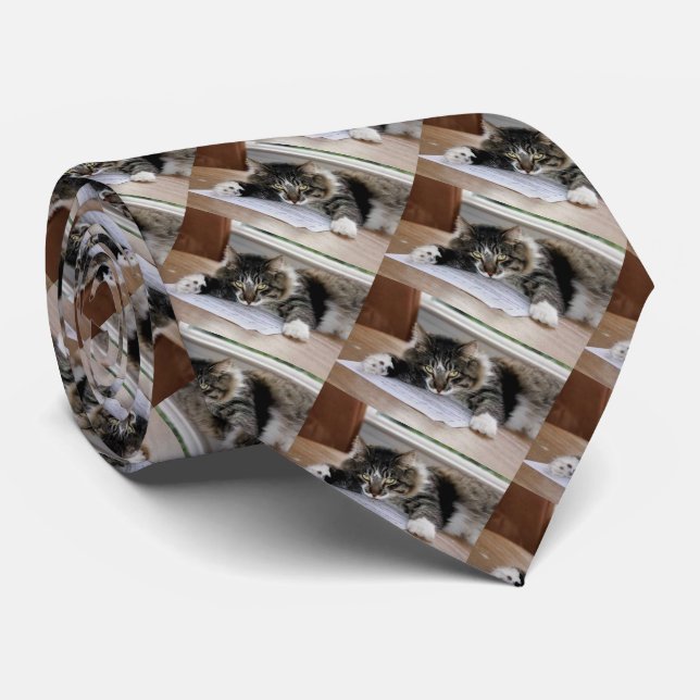 Musical Cat Necktie (Rolled)
