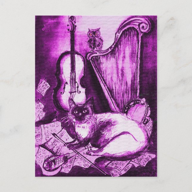 MUSICAL CAT ,Purple Violet and White Postcard (Front)