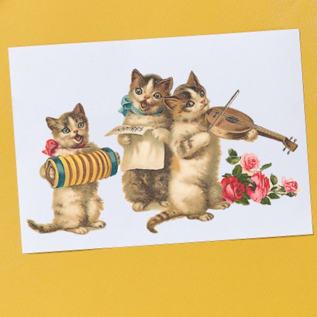 Musical Cats Postcard (Creator Uploaded)