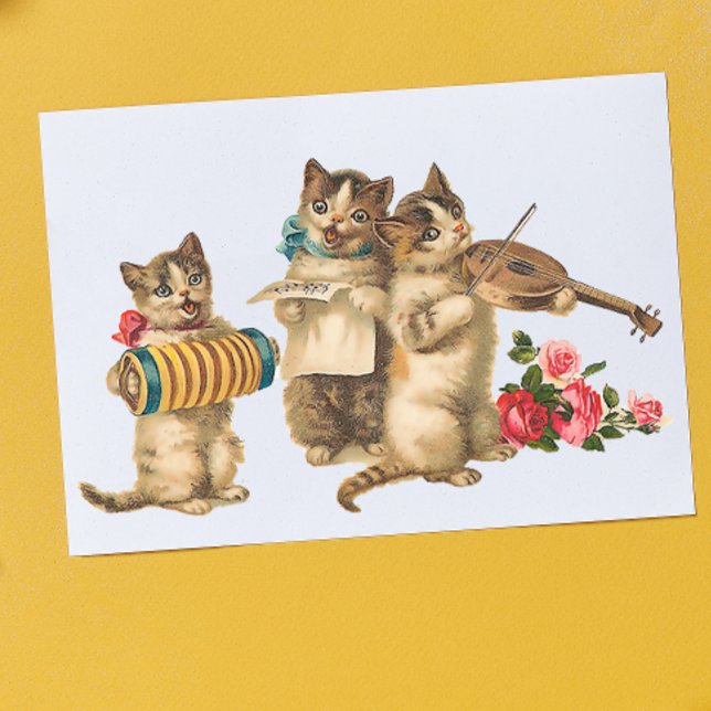 Musical Cats Poster (Creator Uploaded)