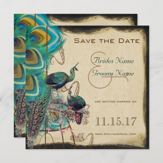 Musical Peacock Bird Cage Love Birds Save the Date Invitation (Front/Back)