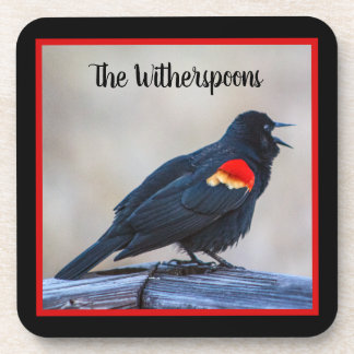 Musical Redwing Blackbird in a Marsh Coaster