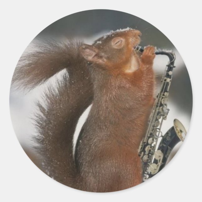 Musical Squirrel Sticker (Front)