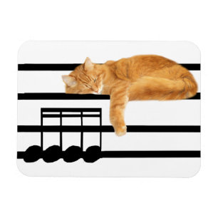 Musical tabby kitty cat magnet