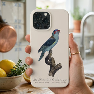 Musk Lorikeet, Trichoglossus Concinnus iPhone 13 Pro Max Case
