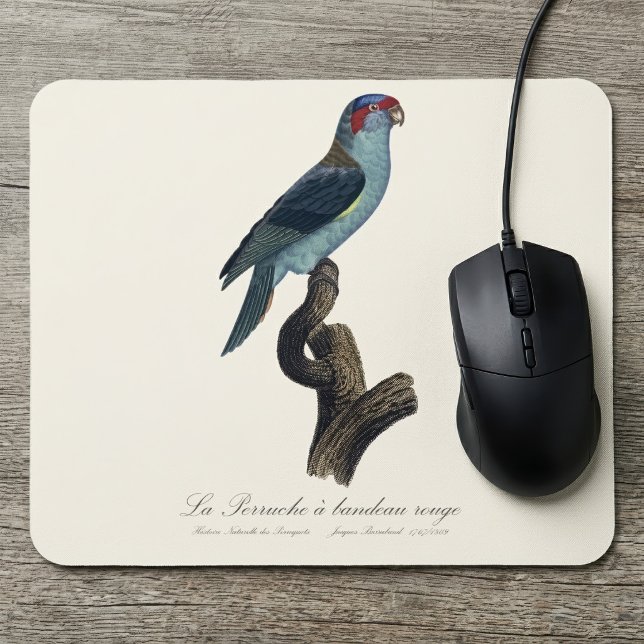 Musk Lorikeet, Trichoglossus Concinnus Mouse Pad (Musk Lorikeet, Trichoglossus Concinnus. Mouse Pad)
