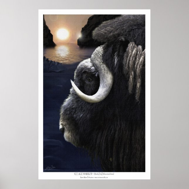 MUSK OX & ARCTIC SUN Art Print (Front)