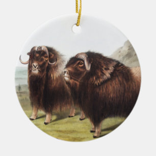 Musk Ox (Ovibos moschatus) Illustration Ceramic Tree Decoration