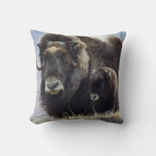 Musk Ox with Calf Cushion