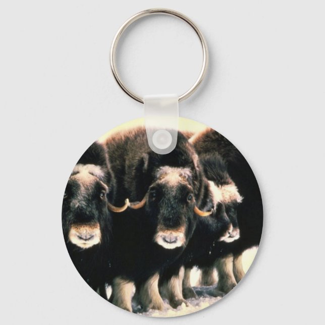 Musk Oxen Key Ring (Front)
