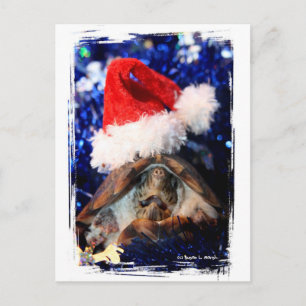 Musk turtle mouth open santa hat christmas pic holiday postcard