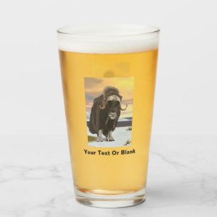 Muskox Glass