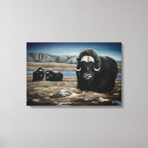 Muskox Painting Canadian Wildlife Canvas Print