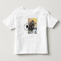 Muskox Stamp Souvenir