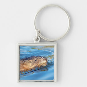 Muskrat at Vassar Farms Ecological Preserve Key Ring