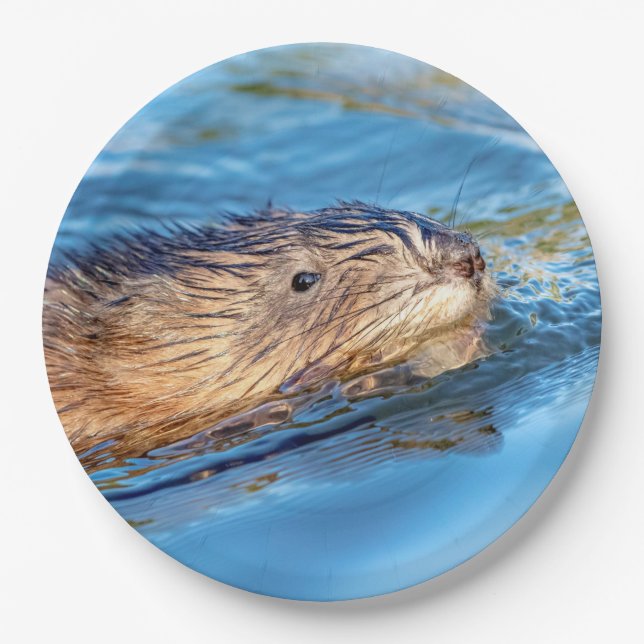 Muskrat at Vassar Farms Ecological Preserve Paper Plate (Front)