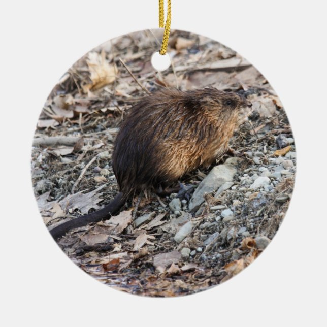 Muskrat Ceramic Tree Decoration (Front)