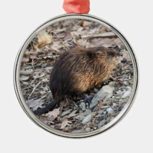 Muskrat Metal Tree Decoration