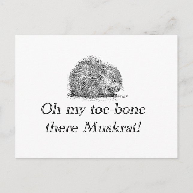 Muskrat | Postcard (Front)