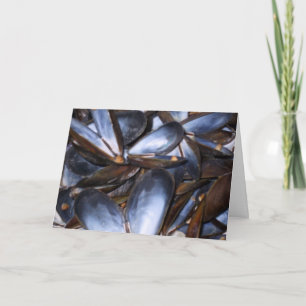 Mussel Shells Greeting Card