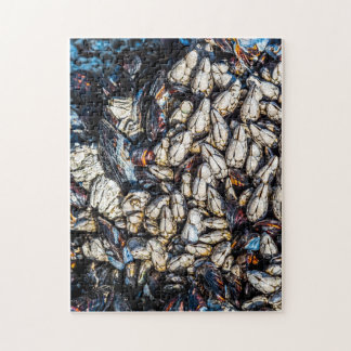 Mussels and gooseneck barnacles - Tofino, BC. Jigsaw Puzzle