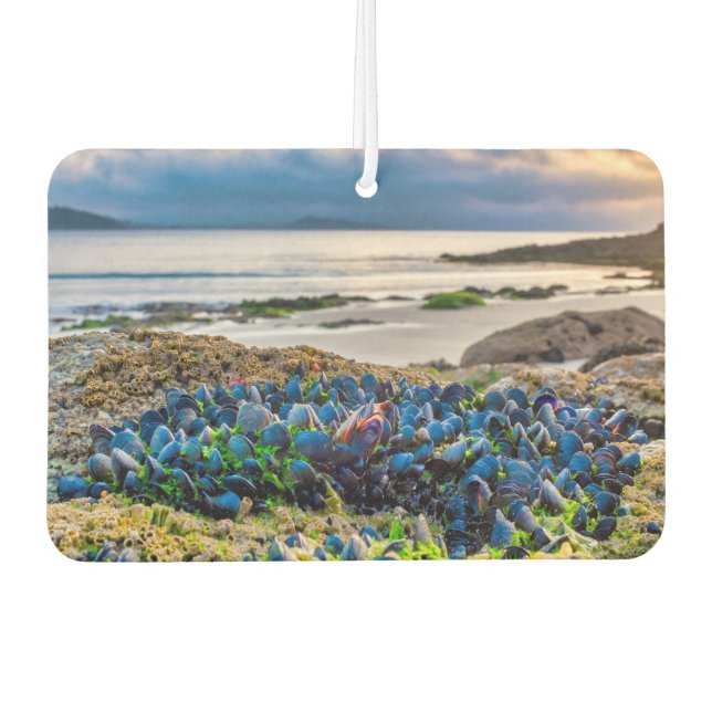 Mussels Car Air Freshener (Front)