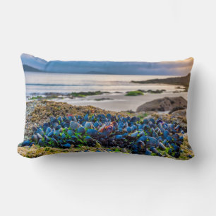 Mussels Lumbar Cushion