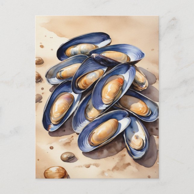 Mussels on a beach watercolor postcard (Front)